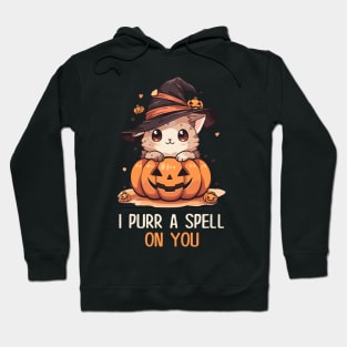 Funny Cat Pun Witch Spell Graphic Men Kids Women Halloween Hoodie